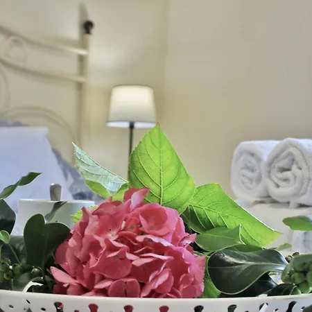 Campizos - 6619 Noja