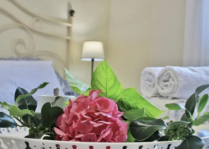 Campizos - 6619 Noja